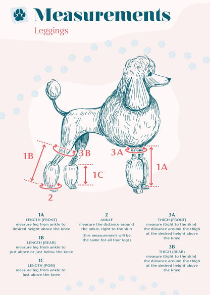 Waterproof Toy Poodle Leggings, set of 4