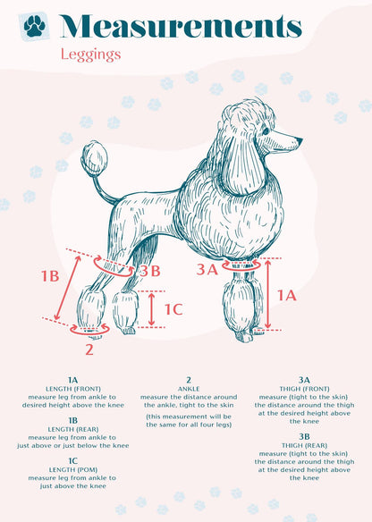 Waterproof Standard Poodle Leggings, set of 4